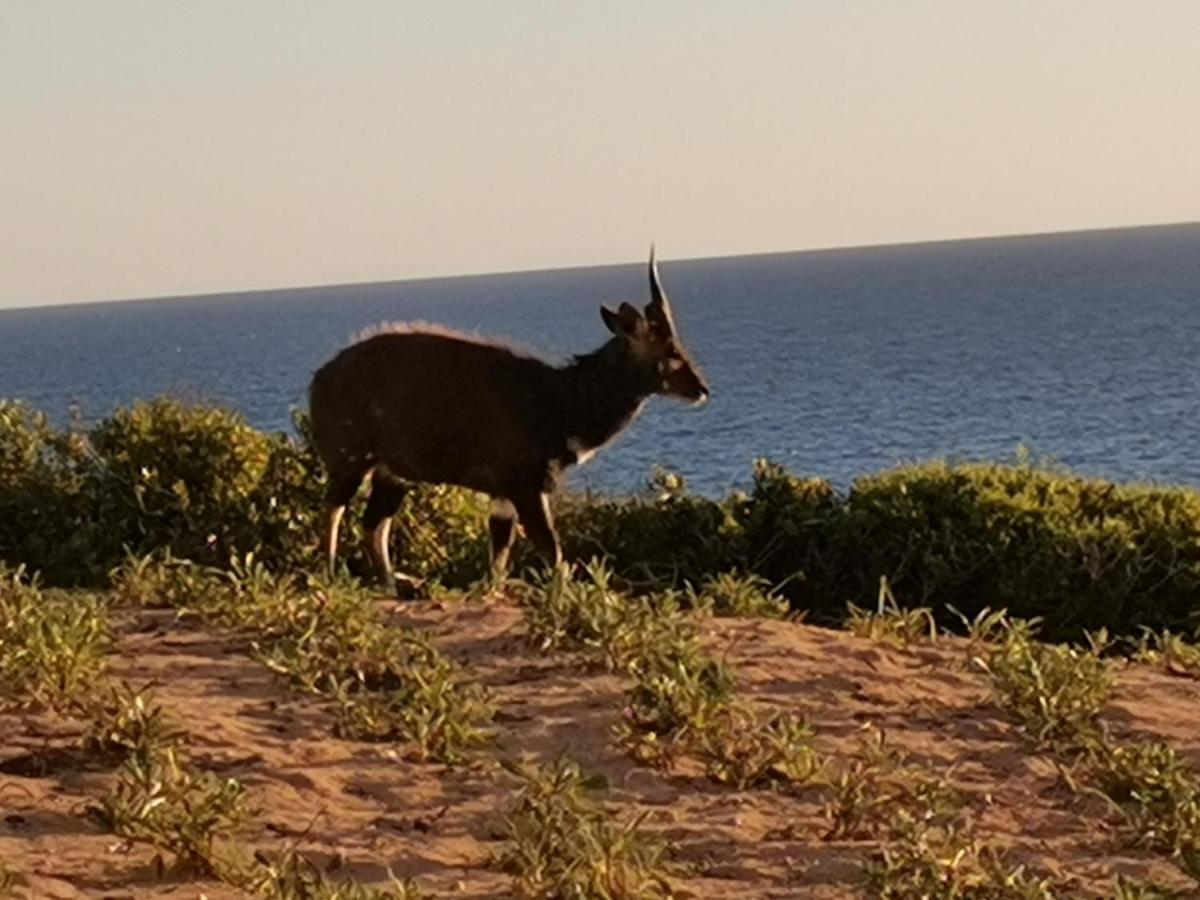 Lodge 93 Mossel Bay Bagian luar foto
